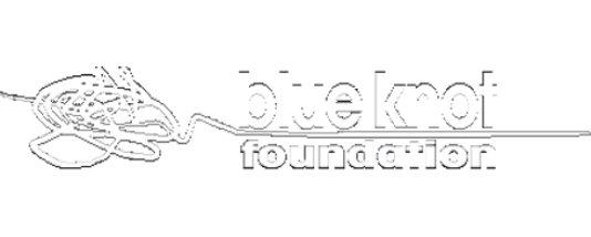 Blue knot foundation